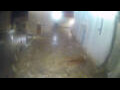 Webcam Hvar - Jelsa