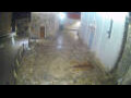 Webcam Jelsa (Hvar)