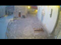 Webcam Jelsa (Hvar)