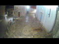 Webcam Jelsa (Hvar)