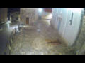 Webcam Jelsa (Hvar)