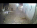 Webcam Jelsa (Hvar)