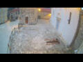 Webcam Jelsa (Hvar)