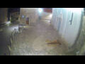 Webcam Jelsa (Hvar)