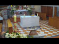 Webcam Jelsa (Lesina)