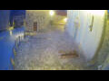Webcam Jelsa (Hvar)