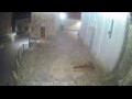 Webcam Jelsa (Lesina)