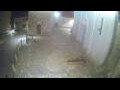 Webcam Hvar - Jelsa