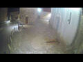Webcam Jelsa (Hvar)