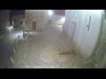 Webcam Jelsa (Hvar)
