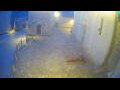 Webcam Jelsa (Hvar)