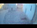 Webcam Jelsa (Hvar)