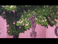 Webcam Rottweil