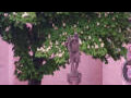 Webcam Rottweil