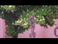 Webcam Rottweil