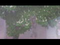 Webcam Rottweil