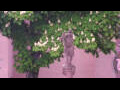 Webcam Rottweil