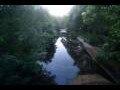 Webcam Nesmy