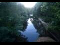 Webcam Nesmy