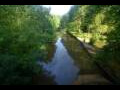 Webcam Nesmy