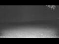 Webcam Kelsey Creek