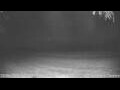 Webcam Kelsey Creek