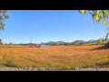 Webcam Kelsey Creek