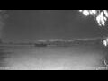 Webcam Kelsey Creek