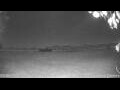 Webcam Kelsey Creek