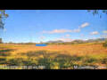 Webcam Kelsey Creek