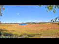 Webcam Kelsey Creek