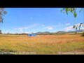 Webcam Kelsey Creek