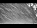 Webcam Kelsey Creek