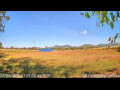 Webcam Kelsey Creek