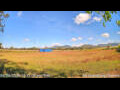 Webcam Kelsey Creek