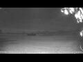 Webcam Kelsey Creek