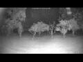 Webcam Kelsey Creek