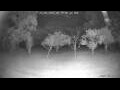 Webcam Kelsey Creek
