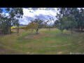 Webcam Kelsey Creek
