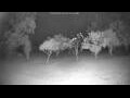 Webcam Kelsey Creek