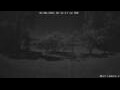 Webcam Kelsey Creek