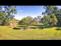 Webcam Kelsey Creek