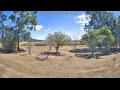 Webcam Kelsey Creek