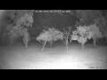 Webcam Kelsey Creek