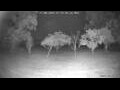 Webcam Kelsey Creek