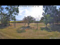 Webcam Kelsey Creek