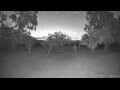 Webcam Kelsey Creek