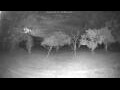 Webcam Kelsey Creek