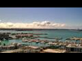 Webcam Auckland