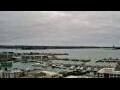 Webcam Auckland